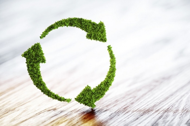Why Do People Believe Green Certified Brands