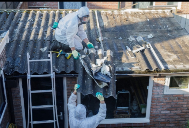 Why is It Important to Choose a Professional Like Zkl Asbestos for Asbestos Removal in Wavell Heights?