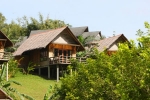 Luxury Resorts & Safari Near Tadoba Andhari Tiger Reserve