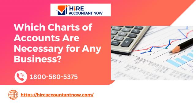 Which Charts of Accounts Are Necessary for Any Business?