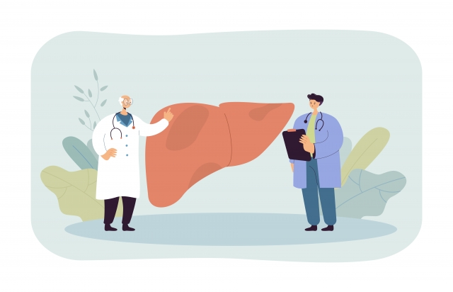 Doctors discussing liver health and advanced treatment options for liver cancer.