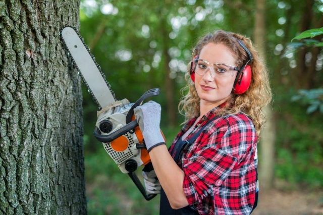 Safely Removing Hazardous Trees Removal in Sarasota