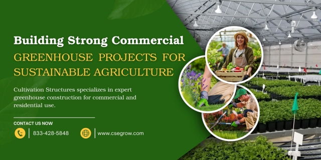 Building Strong Commercial Greenhouse Projects for Sustainable Agriculture