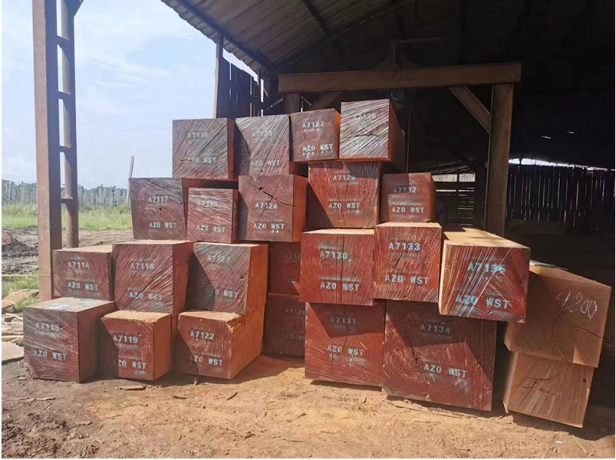 Exploring the World of Azobe Wood: Durability, Applications, and Sustainability
