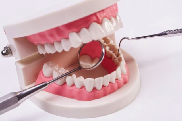 Experience Quality Dental Care in Marrero, LA: Meet Your Trusted Dentist