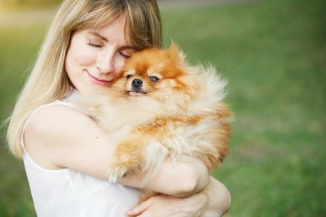 Unlock the Secrets to Taking Care of Senior Dogs like a Pro