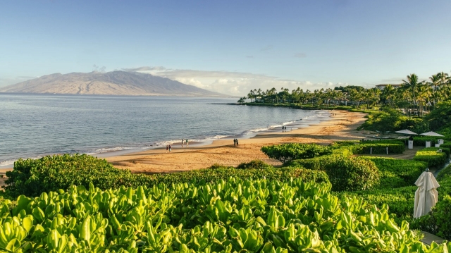 Flights to Maui: Plan Your Perfect Island Getaway