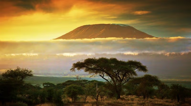 Climb Kilimanjaro and Explore Tanzania’s Wildlife