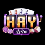 HAYWIN – Sân chơi giải trí trực tuyến uy tín và hấp dẫn hàng đầu