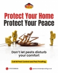 Pest Control Services in Newtownabbey, Ballymena, and Newtownards
