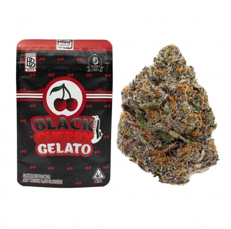 Backpack Boyz Black Cherry Gelato 
