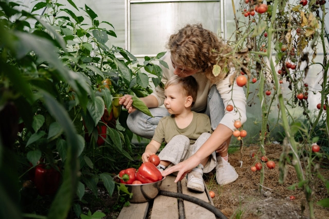 Why Gardening Teaches Kids Important Life Skills