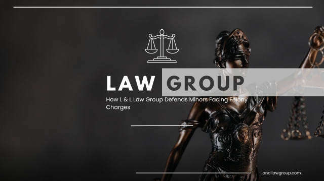 How L & L Law Group Defends Minors Facing Felony Charges