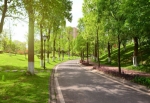 What Are the Benefits of Green Space in Urban Areas?