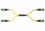 Affordable MTP to LC Breakout Cable Options for Data Centers