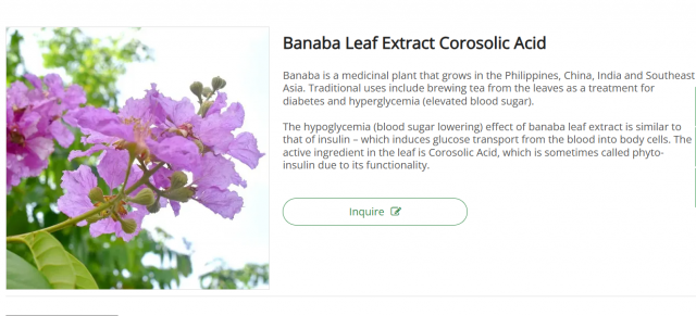Unlocking the Potential of Banaba Leaf Extract: A Natural Support for Wellness
