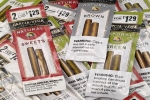 Best Flavored Garcia y Vega Cigars for Beginners