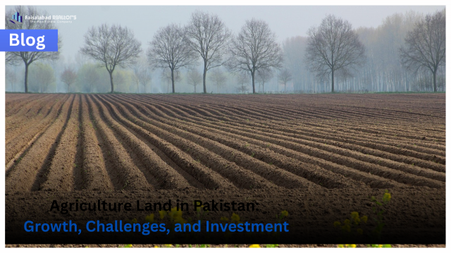 Tips for Investing in Real Estate in Faisalabad