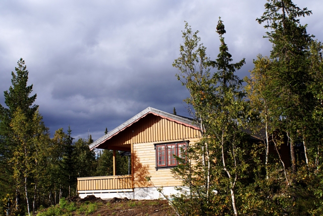 What Makes a Luxury Tiny House in New Zealand Worth the Investment
