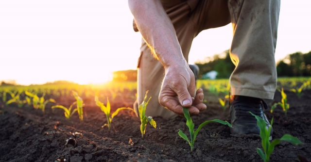 Top Benefits of Being an Agricultural Land Owner