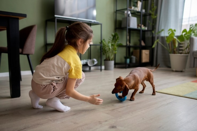 Why Dogs Thrive on Structured Play and Routine