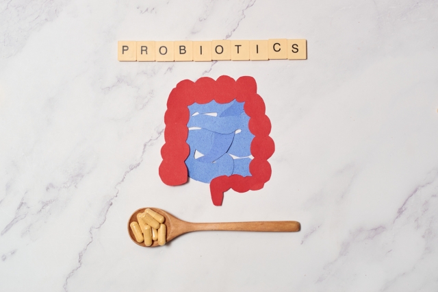 Understanding Akkermansia: The Revolutionary Probiotic Transforming Digestive Health