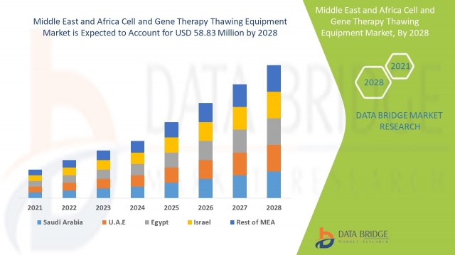 Middle East & Africa Cell & Gene Therapy Thawing Equipment Market Grows with Rising Healthcare Investments
