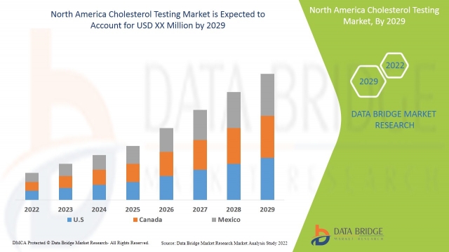 North America Cholesterol Testing Market Boosted by Increased Cardiovascular Screening Initiatives