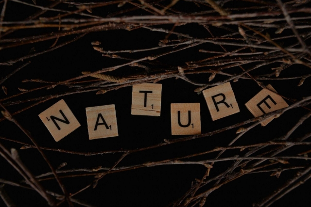 Natural Health Products: What To Know Before You Buy