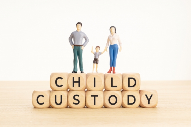 child Custody Battle