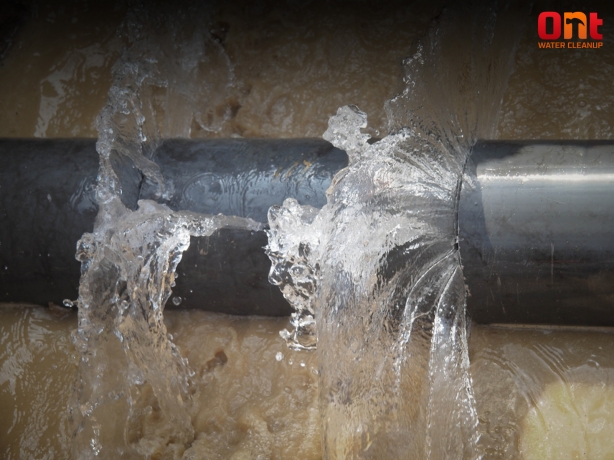 Dealing with a Burst Pipe: Step-by-Step Guide to Minimize Water Damage