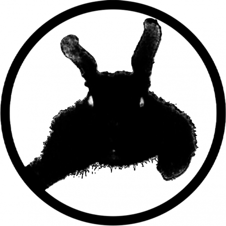 Basketcase Gallery: A Hotbed of Creativity and Community