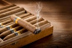 Top Cigar Brands Every Enthusiast Should Know