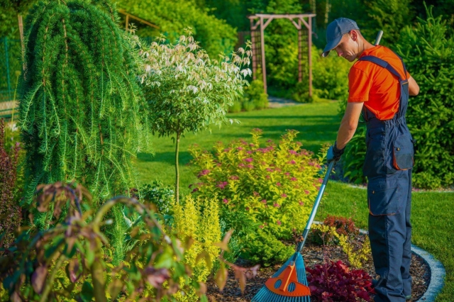 Archies Group: Your Premier Garden Cleaners 