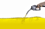 The Future of Energy: Exploring the Role of Oil Companies