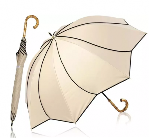 Parasol: The Sun’s Silent Companion — Its Past, Present, and Promise