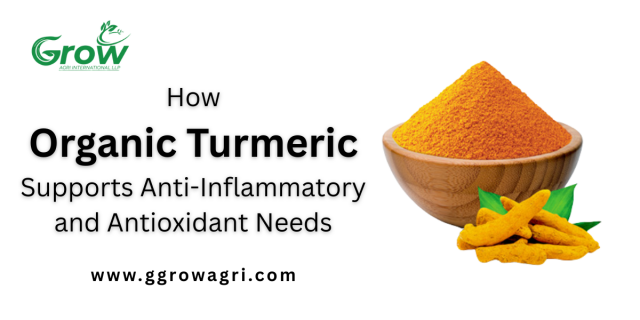 How Organic Turmeric Supports Anti-Inflammatory and Antioxidant Needs