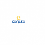 How Can CorpZo’s Virtual CFO Services Help Startups Manage Cash Flow Better?