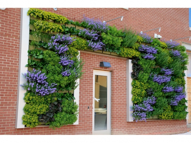 Vertical Garden Construction Market Growth Driven Sustainable Urban Trends
