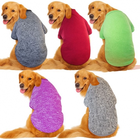 Healthy Skin, Glowing Coat: Top-Rated Dog Grooming Products