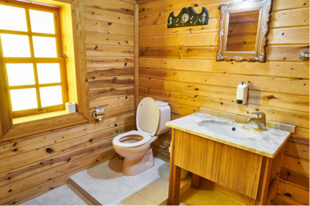 The Green Home: How Your Toilet Choice Supports Environmental Stewardship