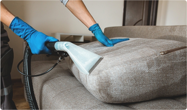 Why Professional Carpet Cleaning Is Essential for Every Home in Encinitas