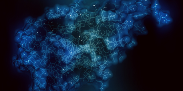 The Peptide Craze Explained: Should You Join In?