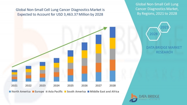 Non-Small Cell Lung Cancer Diagnostics Market Strengthens as Early Detection Technologies Advance Globally