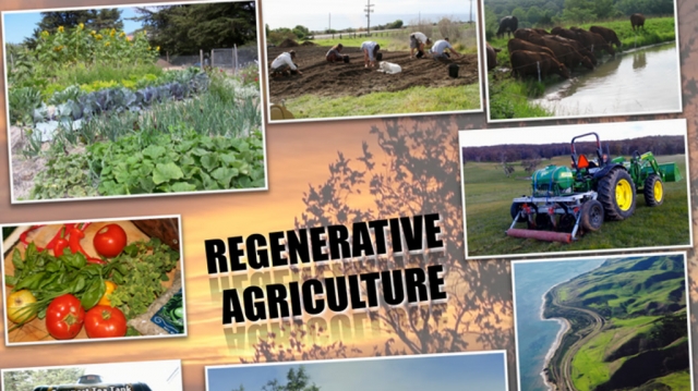 Regenerative Agriculture Market Size and Growth Driven by Sustainability Trends