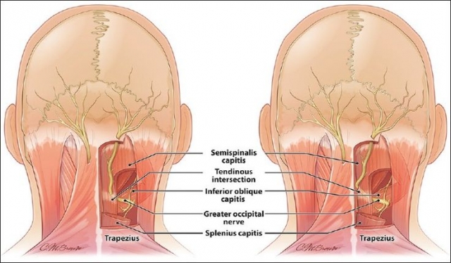 Possible Reasons Behind Base Of Skull Pain