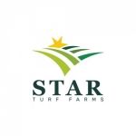 Common Mistakes Florida Homeowners Make With Zoysia Grass