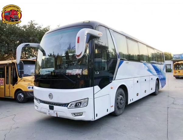 Golden Dragon Bus: A Comprehensive Guide to Technology, Performance, and Market Position