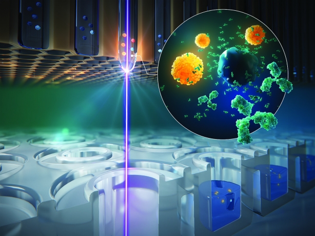 Antibody Discovery Market Size and Trends Shaping Global Growth