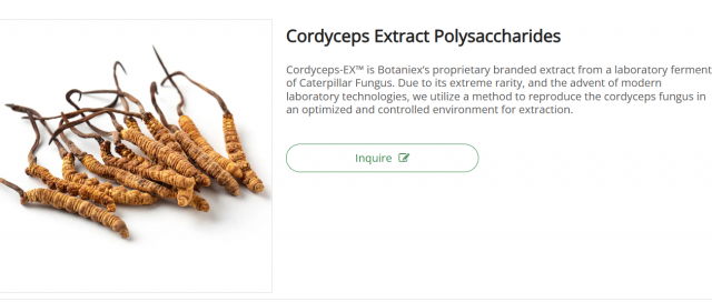 The Rise of Trending Products: What Today’s Consumers Are Really Buying and Why It Matters